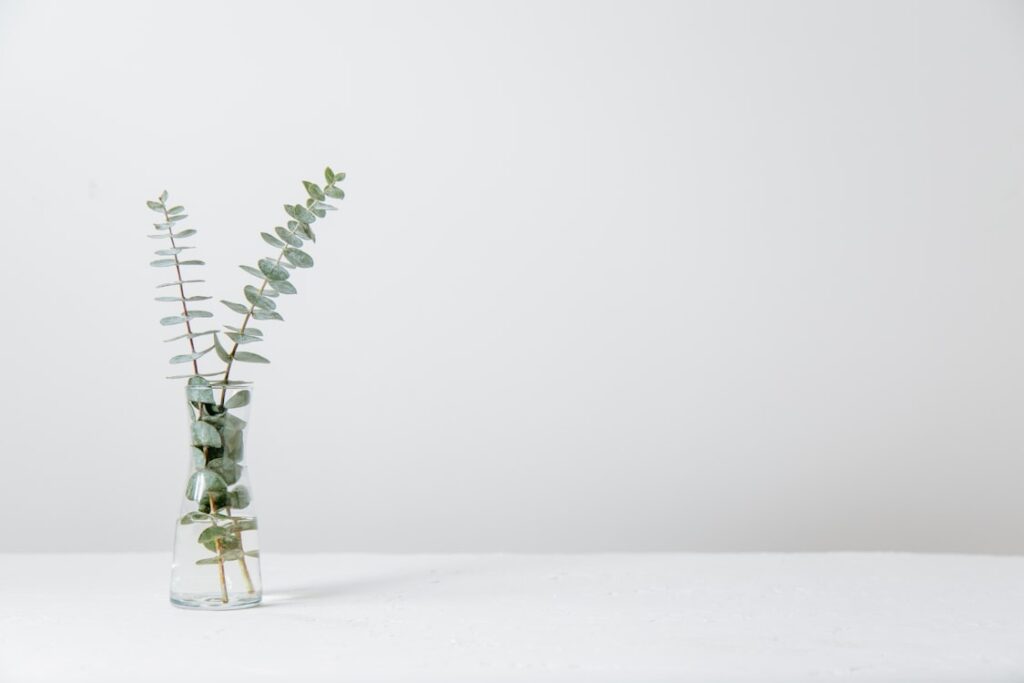 The Impact of Advanced Skin Care on Overall Wellbeing